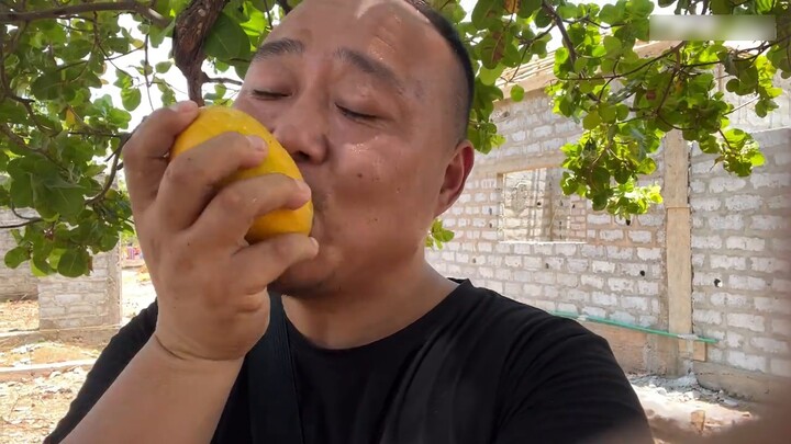 The African apprentice picked mangoes and gave me the biggest one to eat. My heart was as sweet as h