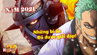 Những bí ẩn One Piece đã được giải đáp trong năm 2021