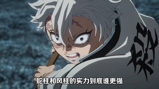 蛇柱的实力能不能打过风柱呢