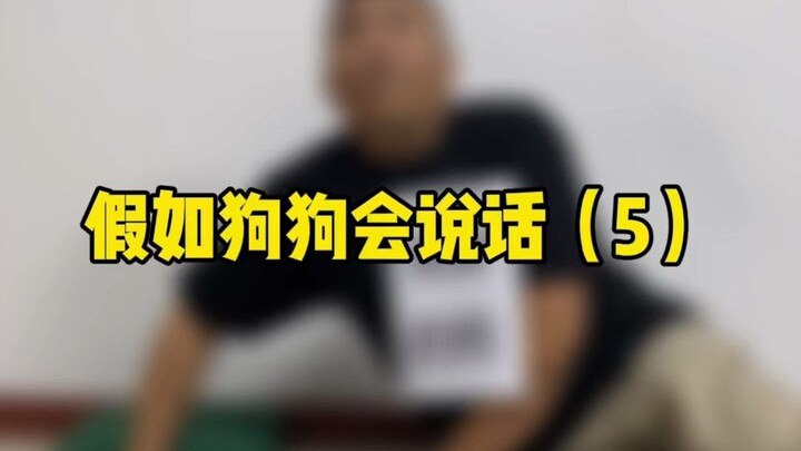 Mỗi khi tôi về nhà lúc nửa đêm, con chó của tôi lại khiến tôi trải nghiệm cảm giác “chết xã hội” nga