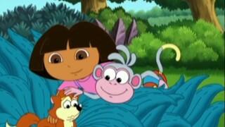 Blind Dora and Her Guide Monkeys