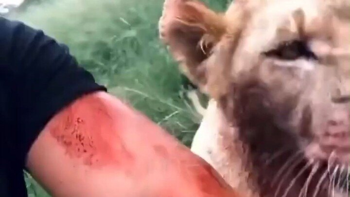 اقترب من الطبيعة!