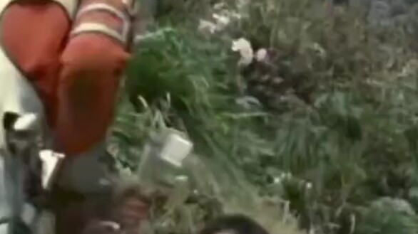 Ultraman Seven, you dog, I'm a bitch