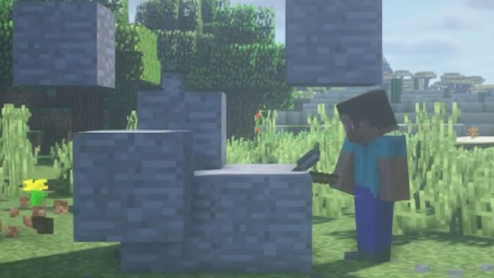 Steve: ฉันแค่อยากจะขุดหินขึ้นมา