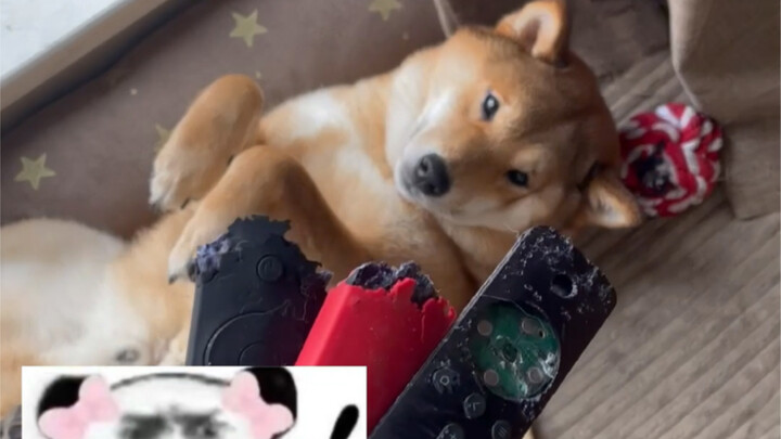 ลูกชายตัวโตของแม่ (เรื่องรักและชังกับรีโมทคอนโทรล)