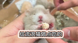 仓鼠牌猫饭