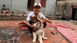 Hưng Troll _ Làm Ngôi Nhà Coca Cola Cho Ngáo Alaska