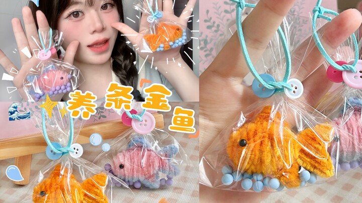 เลี้ยง “ปลาทอง” ที่ไม่เหมือนใคร𓂂𓈒𓏸🐠missive𓐍missive𓂂𓇼
