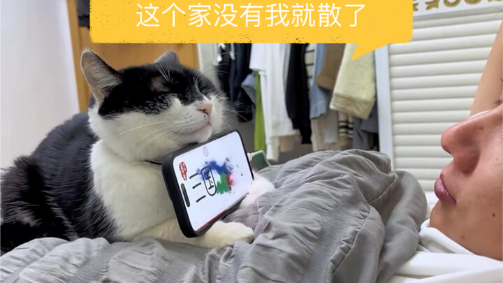 Cat: “This house will fall apart without me! Not a single kibble is eaten for free!”