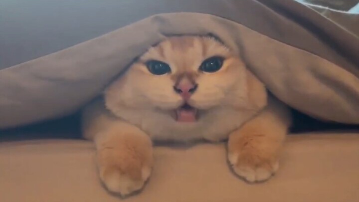 Đừng uống nữa, tí nữa tiểu ra cả một quả núi luôn!