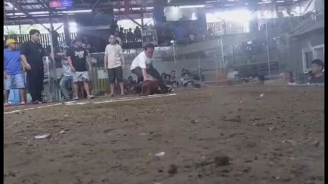 Duke husley in action #1