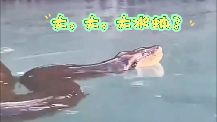 “Cười một chút, trẻ thêm mười năm”