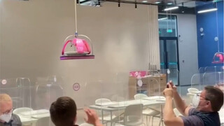 Itu berarti memakan makanan yang dibuat oleh robot setiap hari di kafetaria Olimpiade Musim Dingin.