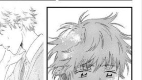 Chú chó Shima trẻ trung vẫy đuôi vs chú chó cô đơn