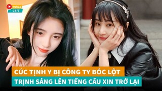 Cúc Tịnh Y bị công ty bóc lột trắng trợn - Trịnh Sảng lại cầu xin trở lại showbiz |Hóng Cbiz