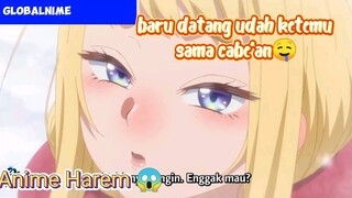 Review Anime Dosanka gal wa Namara menkoi||Anime ecchi