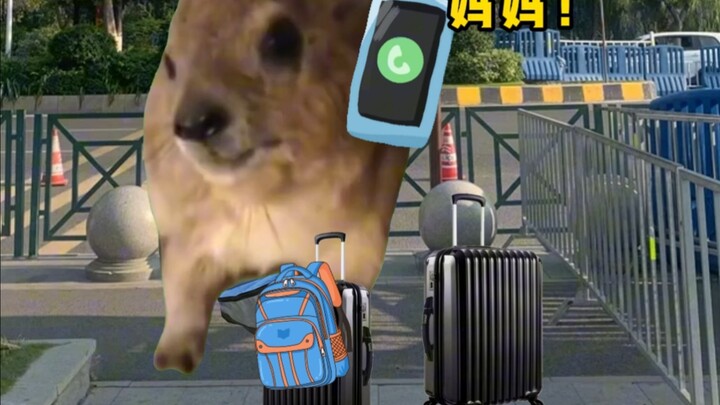 How Abstract Can My Mom Be (Part 2)