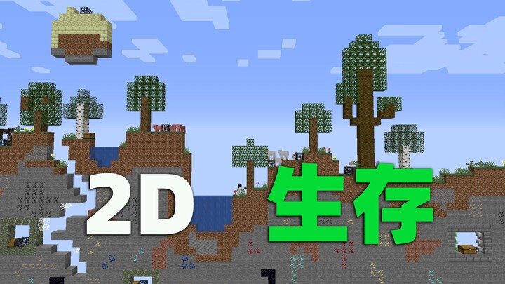 When Minecraft Becomes 2D