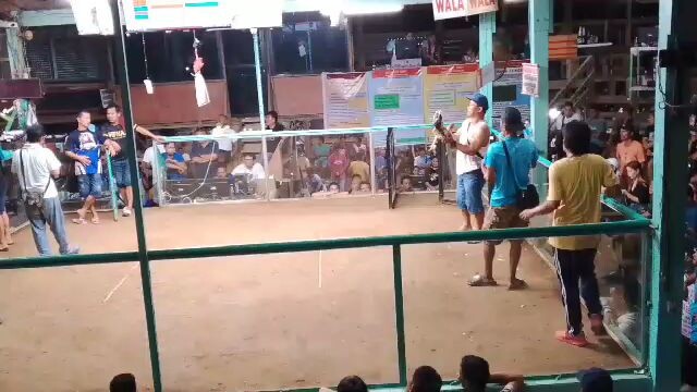 2nd fight win champion