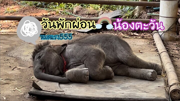 วันนี้หนูขอพักผ่อนนะพ่อตะวันหมดแรงแล้ว555