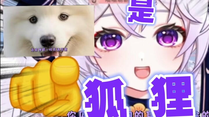 是狐狸！是狐狸！是狐狸！不是萨摩！