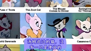 None of the cats Tom chased were cheap