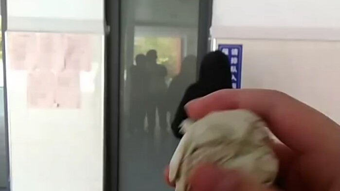 Rumah Kartu Biru Toilet dalam Dark Zone: Breakthrough