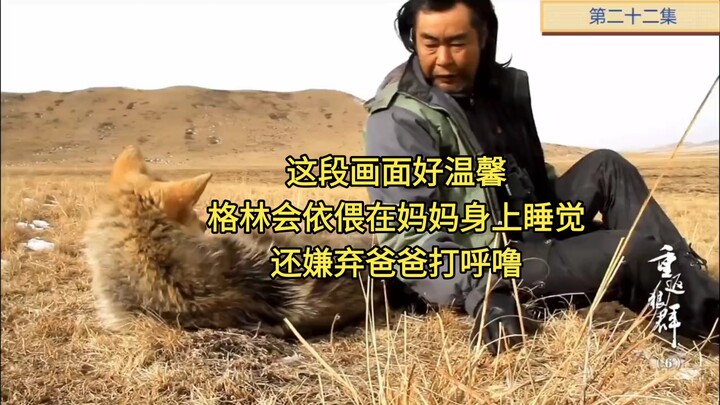 ฉากนี้อบอุ่นมาก กลินซบกับแม่นอน แถมยังบ่นว่าพ่อกรนด้วย!