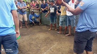 tupada mga boss win tayo gamit natin throwback spangled na super Brown red mga boss