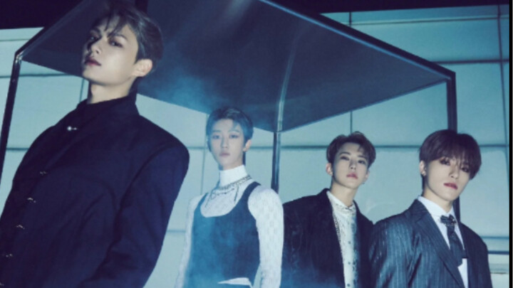 【SEVENTEEN】婆队存在的理由