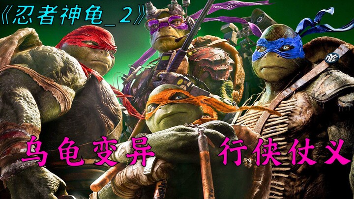 Rùa đột biến, hành hiệp trượng nghĩa – “Những chú rùa ninja”