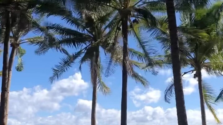 Digyo island