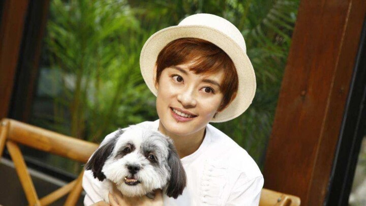 Seberapa besar perbedaan perlakuan selebriti terhadap hewan? Tim produksi Yu Zheng menyiksa kucing h