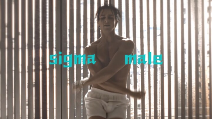 "Sigma men prefer to be alone rather than unworthy"