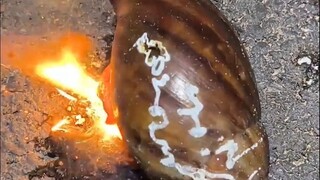 الحلزون: يا يان وانغ، هل وصل الأمر بك إلى استخدام الليزر للقضاء عليّ؟