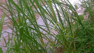 # April 28, 2025 floods affecting my job