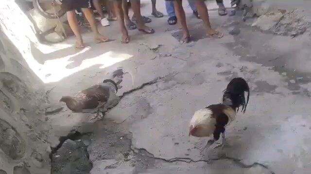nag ka sundo itabla dahil baka mag ka hulian dahil sa tagal ng laban hahahha