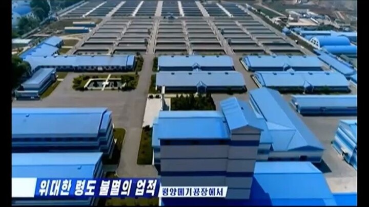 Grande liderança, feitos imortais