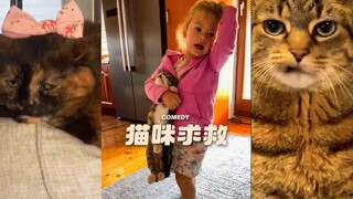猫咪被小孩欺负的成就达成了🥹