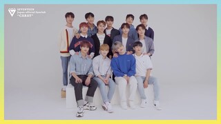[MAKING]SEVENTEEN CAFE 2020 ～SALAD FACTORY～ SHOOTING BEHIND THE SCENES