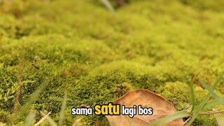 pesan untuk bos