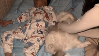 My child always uses the cat as a pillow. I took the cat away quietly in the middle of the night. I 