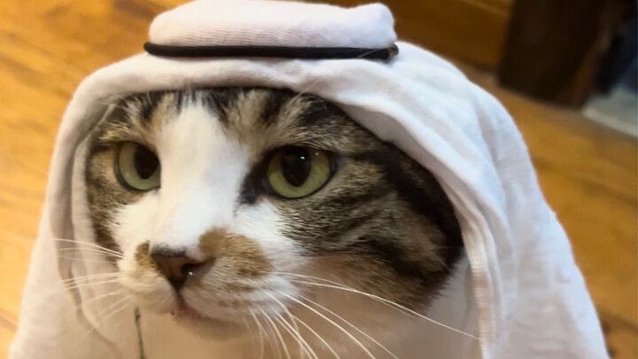 “Terlihat sekali kalau orangnya kaya”