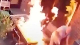 How about the new fire?