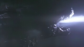 万 兽 之 王