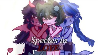 Species in love~ GAY POLY GCMM//#justhudson