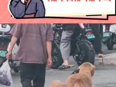 可爱老头溜可爱小狗和可爱小鸟