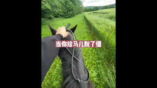 当你给马儿脱了僵，自由的感觉
