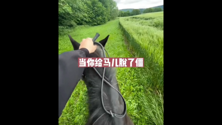 When you untie the horse, the feeling of freedom