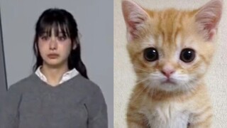 【noze】"Ah? Let me dance guilty?" Noze is 99% similar to the stupid cat